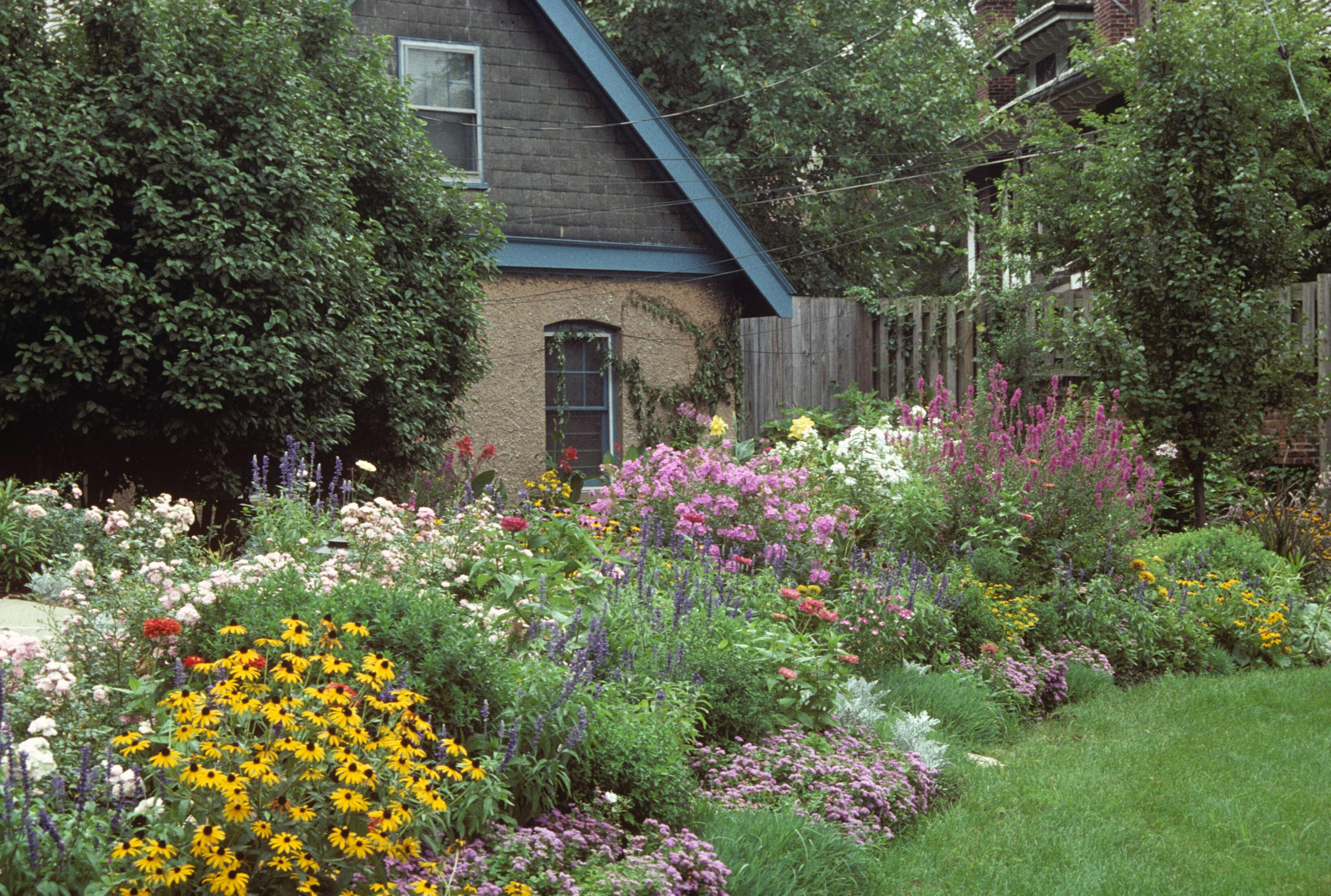 Abundant cottage core front yard garden bursting with color featuring black eyed susan, purple salvia, pink phlox, liatris, and mixed perennials — DIY cottage garden curb appeal for Midwest homeowners Zone 6b St. Louis Missouri"